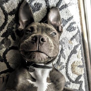 Meet your Posher, Alisa